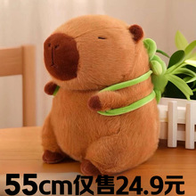 �ɐۿ�Ƥ��������̖ë�q���ˮ����ż���Ȳ�������Ů��