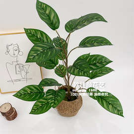 仿真盆栽创意摆件室内装饰仿真花摄影道具厂家人造绿植假花盆景