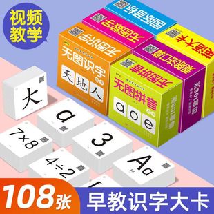 Early Childhood Literacy Early Education Books Infant Literacy Cognitive Pinyin Card Enlightenment Puzzle Pre-school Multiplication and Division