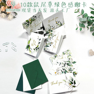 ���R�d��β�ݾGɫ���x�����ŷ��N��С�������Կ�Ӣ�ĺ��s�羳�R��
