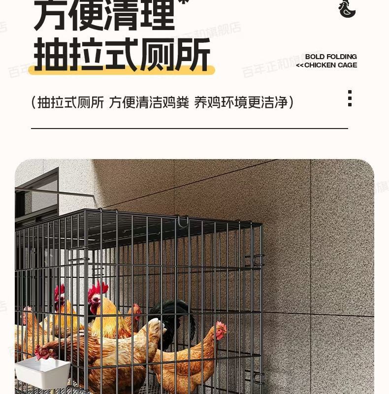 68beb8f3-e49d-44c7-b5e5-f97d235e7f8e.jpe