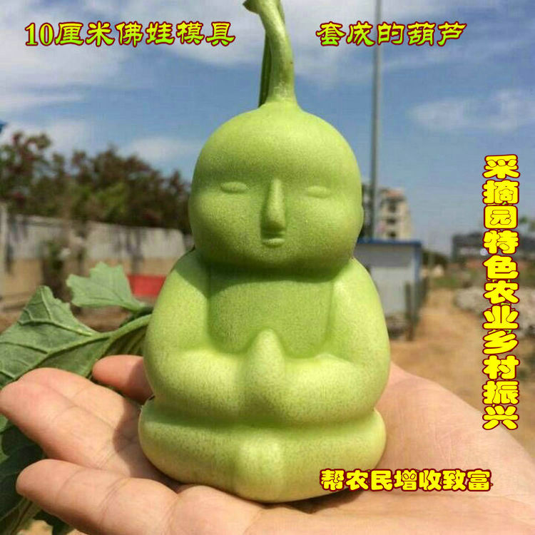 10厘米佛娃1斤人参果邯郸人参果模具文玩采摘园范制葫芦塑料模具