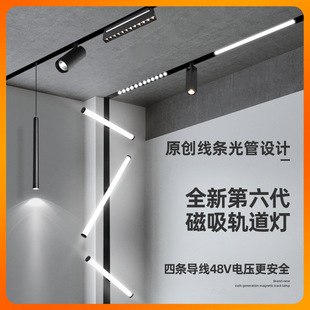 ✅ Smart Home Embedded Concealed and Surface-Mounted Living Room Lighting Without Main Light, Pre-Embedded Black 48V Magnetic Track Light