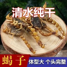 材全蝎新货 清水蝎子干 全虫全蝎干药用食用蝎子泡酒水蛭50克包装