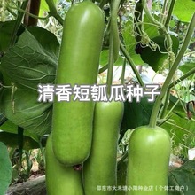 ������ϷN�Ӷ��ѹϷN������ӹϲ˺��J�̰��r���̨�ļ��߲˷N