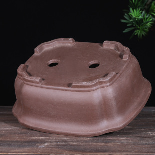 ��������2025�¿��L������ɰ�����辰̎���մɟ��N��ÿ���������