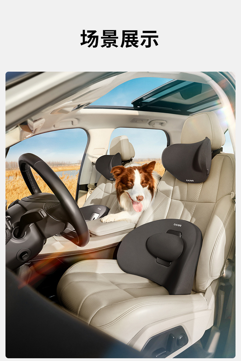 CICIDO [upgraded] car + dual-use five-gear adjustable waist support CJ0204