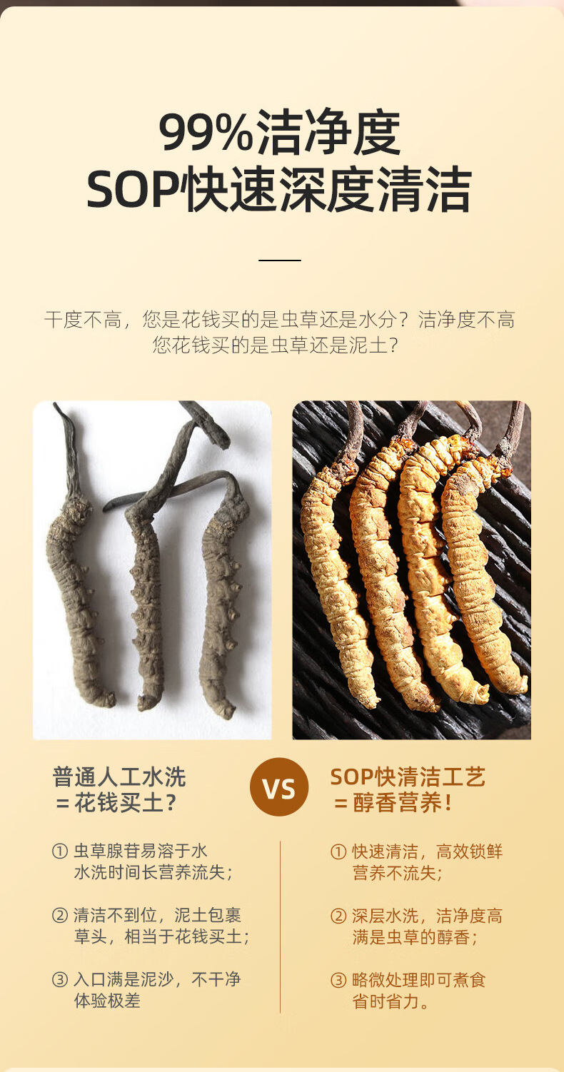 Premium Cordyceps Sinensis Dried Herb 1g Box 5 Stems Whole Fruiting Bodies for Traditional Soup and Decoction in use