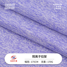 现货阳离子拉架汗布 170g涤氨双色针织高弹力牛奶丝运动t桖面料