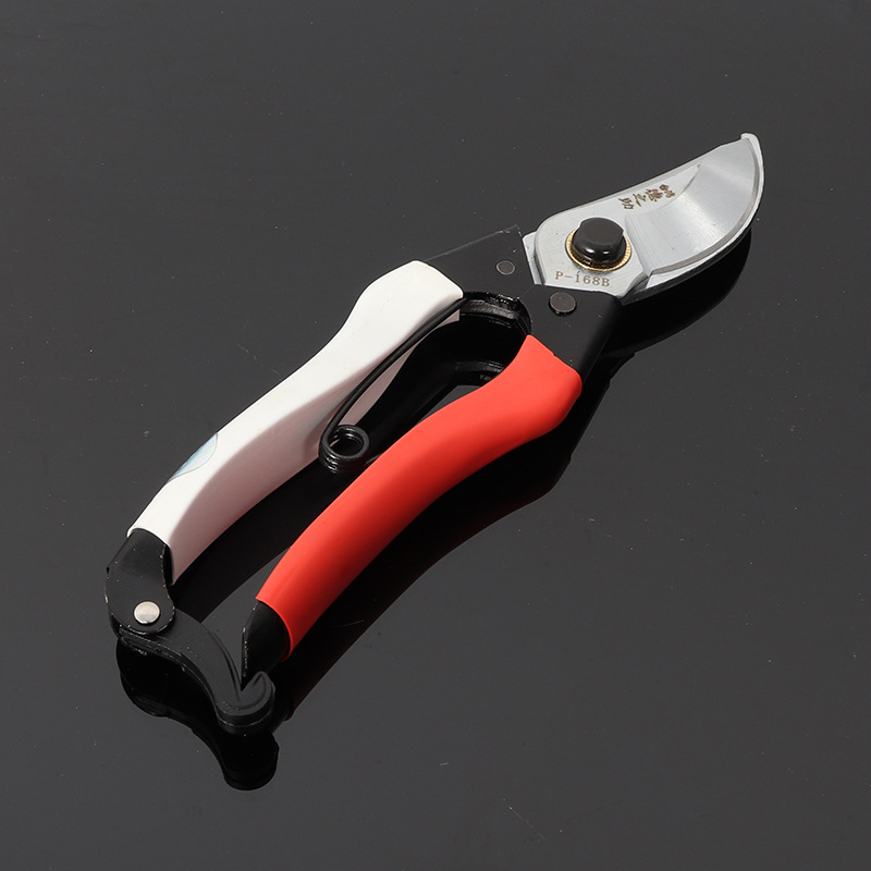 Dezhizhu P-168B fruit branch pruning, pruning, pruning, fruit tree garden gardening tools, pruning, grafting