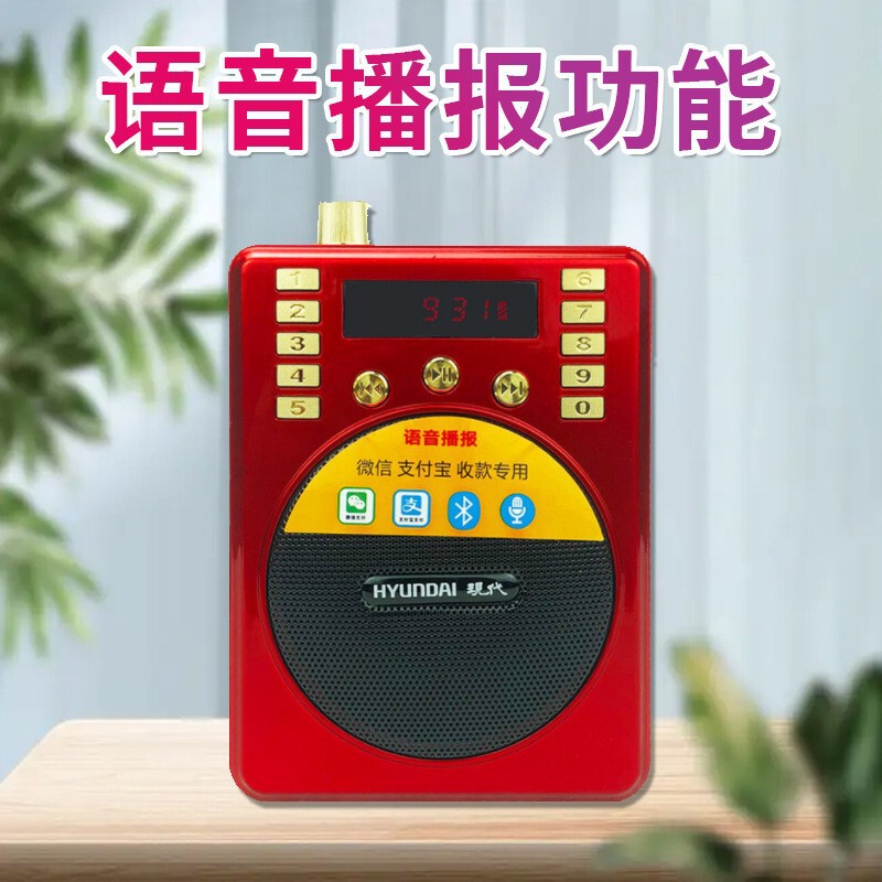 現代の 818S 教師教育拡声器ポータブル高齢者ラジオ多機能 Bluetooth 小さな蜂歌う機械|undefined