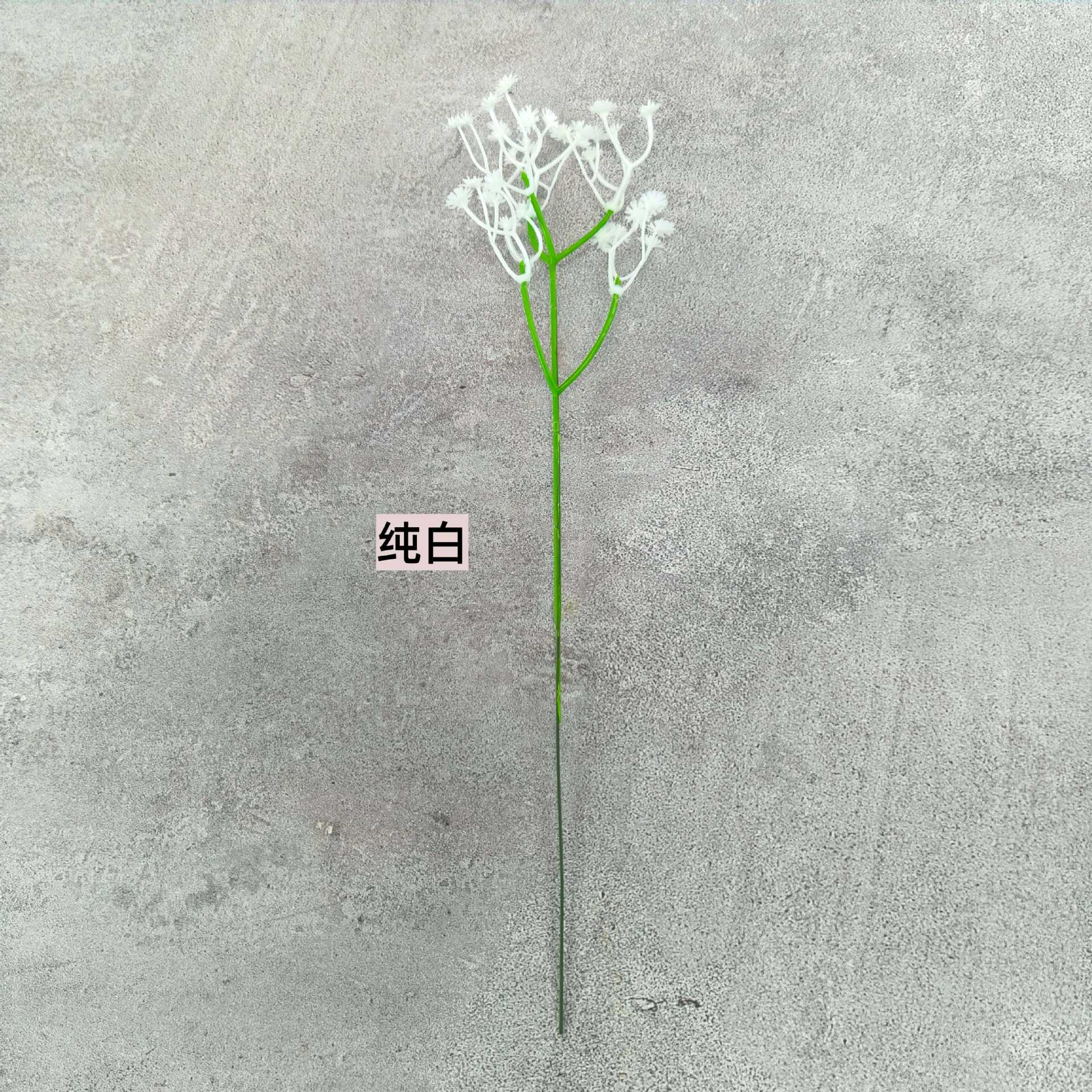 순수한 흰색
