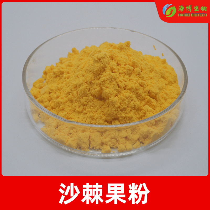 沙棘果粉99% 海博生物 食品级 沙棘果提取物 固体饮料 多规格现货