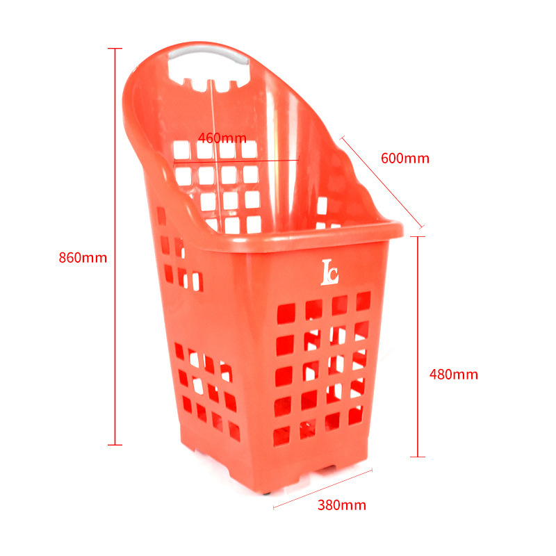 정사이즈 레드 60L