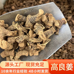 ���ڸ�������ș���{ζ���u�����ϸ�؛���l�oѬ��o����