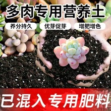 多肉专用通用型土种花养花种菜通用种植泥土花土盆栽土壤亚马逊