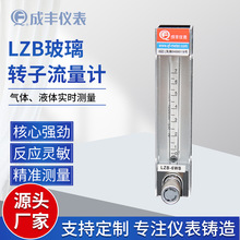 成丰仪表厂家供应流量计测量小流量LZB-6WB气体玻璃管浮子流量计