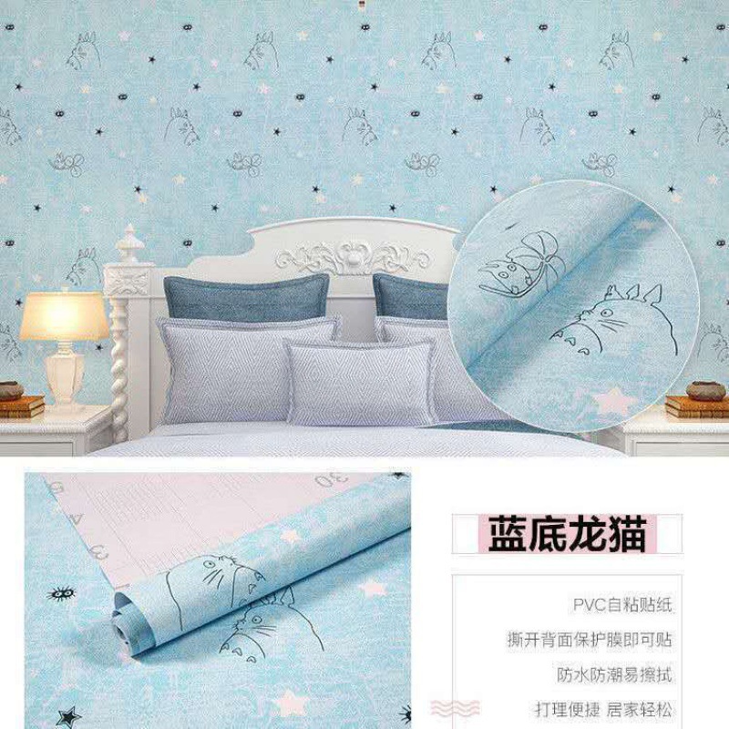 뜨거운 판매 블루 친칠라