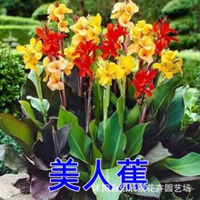 ���˽��N�Ӷ������޸�����С�Ž�С�����˽�ͥԺ�׻���_�ڷN��