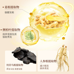 麗泉特防脫固發洗髮水生薑王防脫髮洗髮液草本清潔洗髮露女大容量