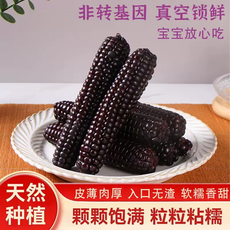 西双版纳紫糯拇指手指小玉米非转基因新鲜开袋即食低脂代餐小玉米