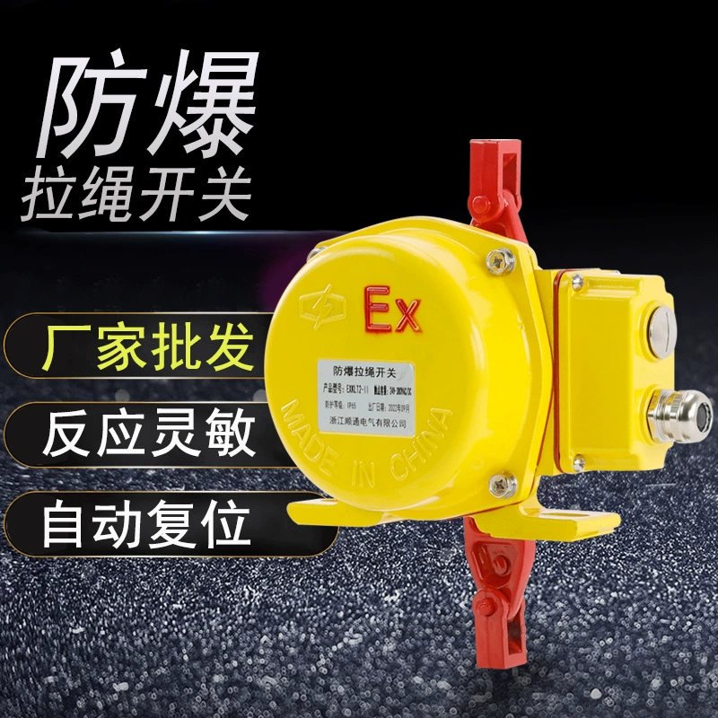 Explosion-proof waterproof switch key on lanyard, belt with cord
