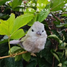 �¿��Ʋ��޾�С�B���A���ֹ����g��ˇƷ�������O�������ξ��^�YƷ