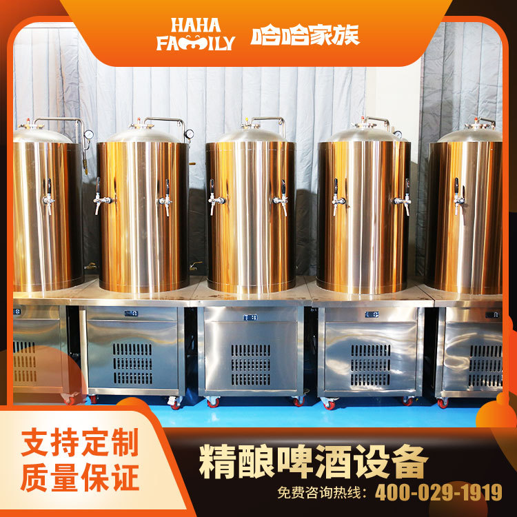 大型精酿啤酒厂酿造设备 精酿啤酒灌装机械 精酿家用酿造机械