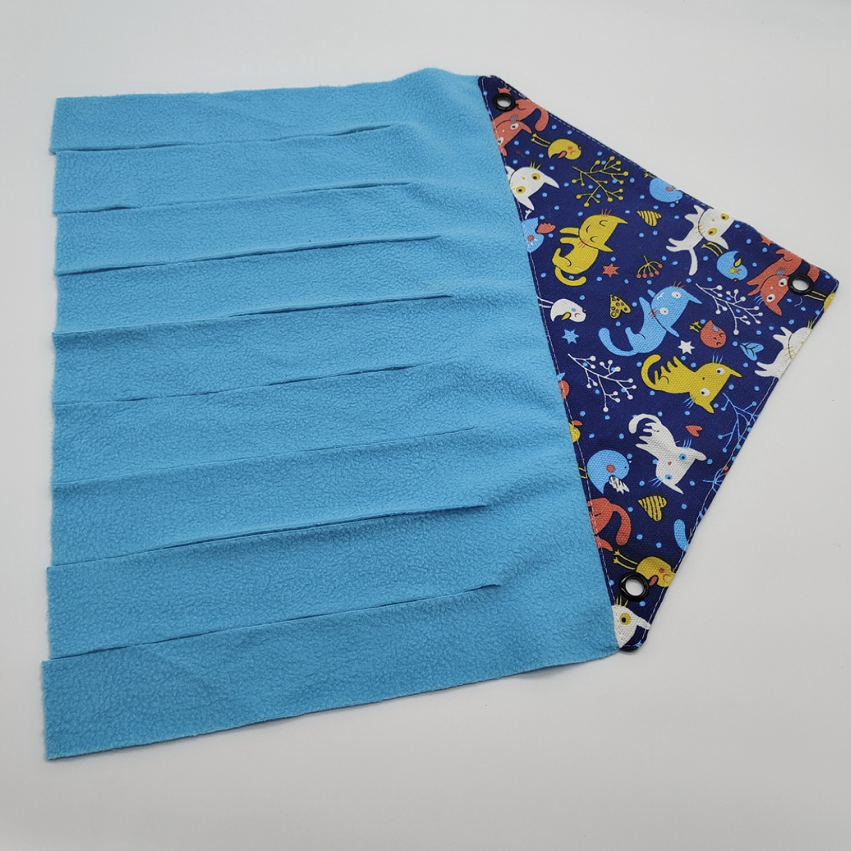 블루 캣 + 그레이