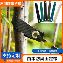 �羳�S�Ҙ�ľ��ľ���L�̶�����̨�L�����P��F�������̶��������l