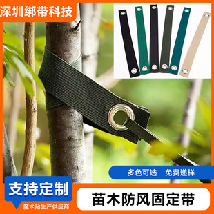 �羳�S�Ҙ�ľ��ľ���L�̶�����̨�L�����P��F�������̶��������l