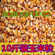 10����؛�r����ʽ���������s�Z��~��Cι�u���Z���ӷ��D����