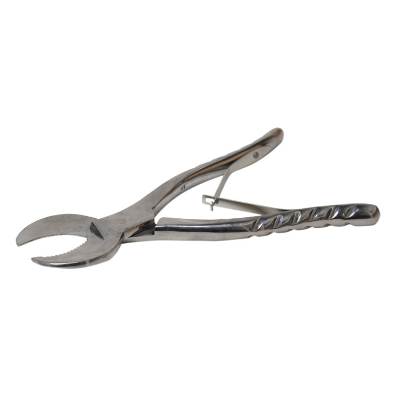 Tijeras para yeso dental transfronterizas, tijeras para técnicos, tijeras para yeso dental, tijeras para yeso de acero inoxidable, alicates para yeso, tijeras para técnicos