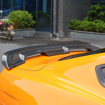 wild horse modified GT500 tail: Fixed wind wing