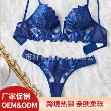 跨境亚马逊诱惑文胸印花刺绣透视法式情趣内衣制服纯欲性感套装女