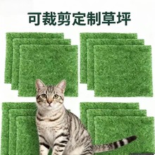 �羳�ɲü������ƺ�������ϼٲ�Ƥ�|�������b����Q���R�d��؛