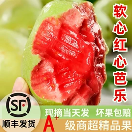 其他水果;番石榴/芭乐;哈密瓜