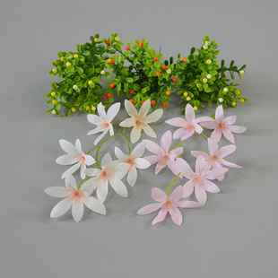 �����m��������С�m������ʽ�L�����l�DIY������в廨�辰�ز�