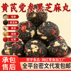 黄芪党参红枣枸杞核桃芝麻丸 传统糕点零食独立装黄芪党参芝麻丸