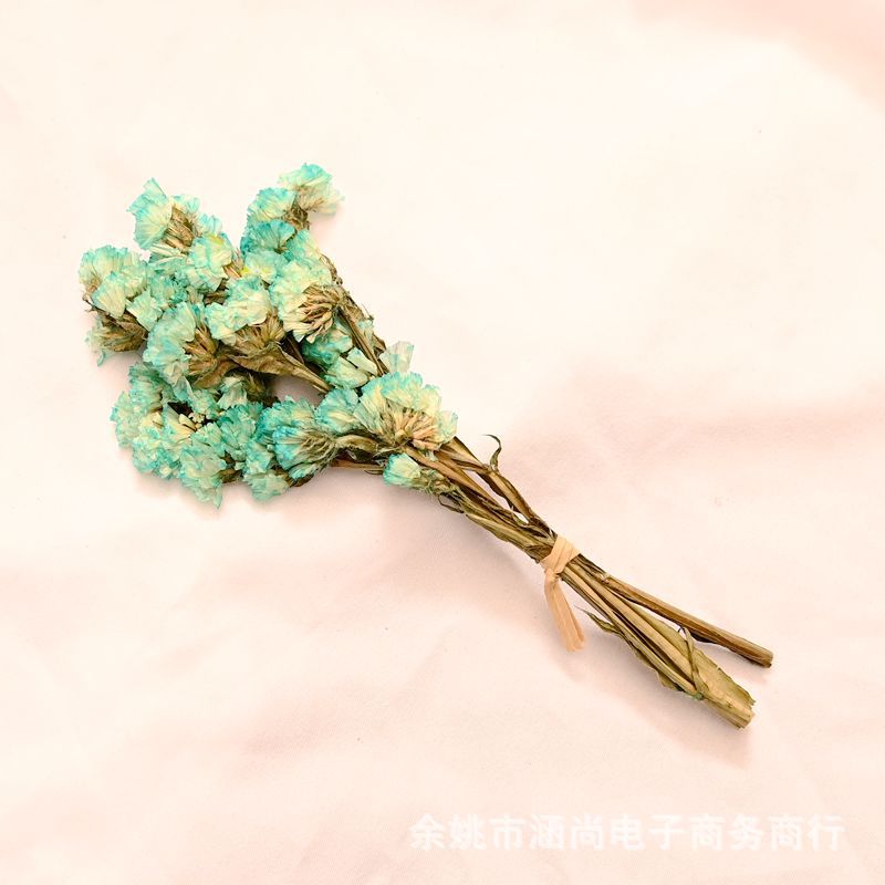 Flores secas transfronterizas ramo pequeño Cielo estrellado amante de la hierba nome olvides de la vida eterna decenas de millones de estrellas caja de regalo decoración florero pequeño ramo