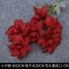 Xiaoxi Yan 6 heads