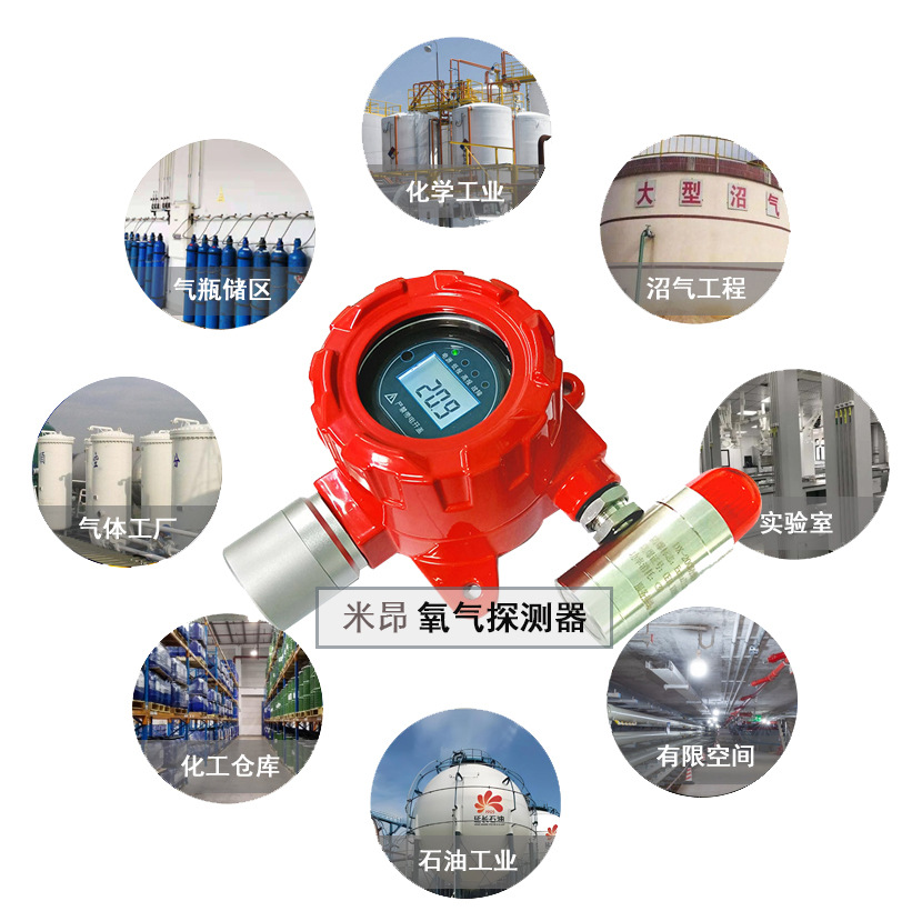 氧气气体探测器 0-25%VOL 电化学氧气传感器 ExdbIICT6Gb/IP66