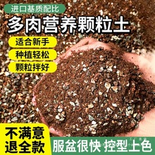 �������I�B�������w����ֲ��Nֲ�����ʯ�~�������̿�����