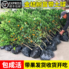 ������۽�ێ������Ԙ����ļ������ʳ���������Ƥ�����҃ȳ��G