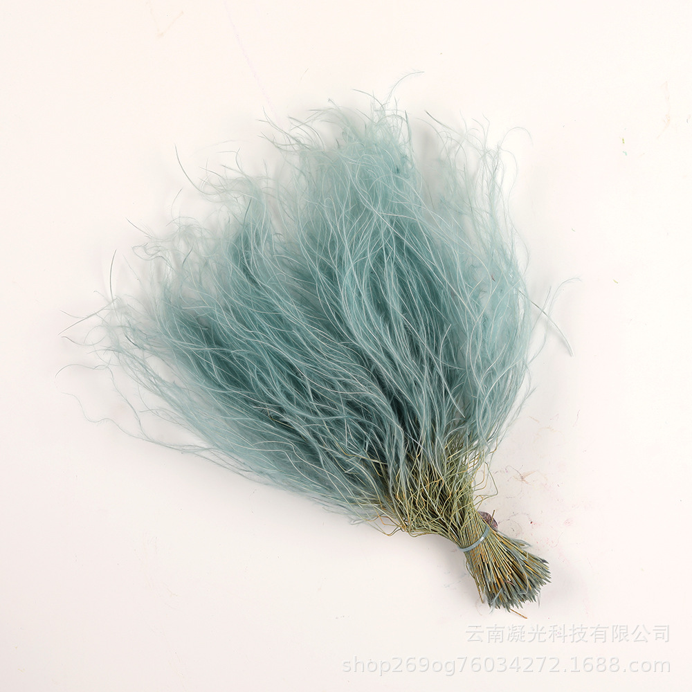 Bleu ciel / 25-30 grammes/paquet