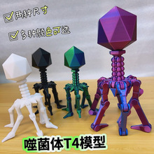 �ɾ��wT4ģ�Ϳɻ��΢����ƌW������Ľ̎��̾�Ȥζ�Y�����