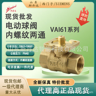 VAI51.20-6.3���T��늄��S�~���y,�~�Ƚz  �F؛