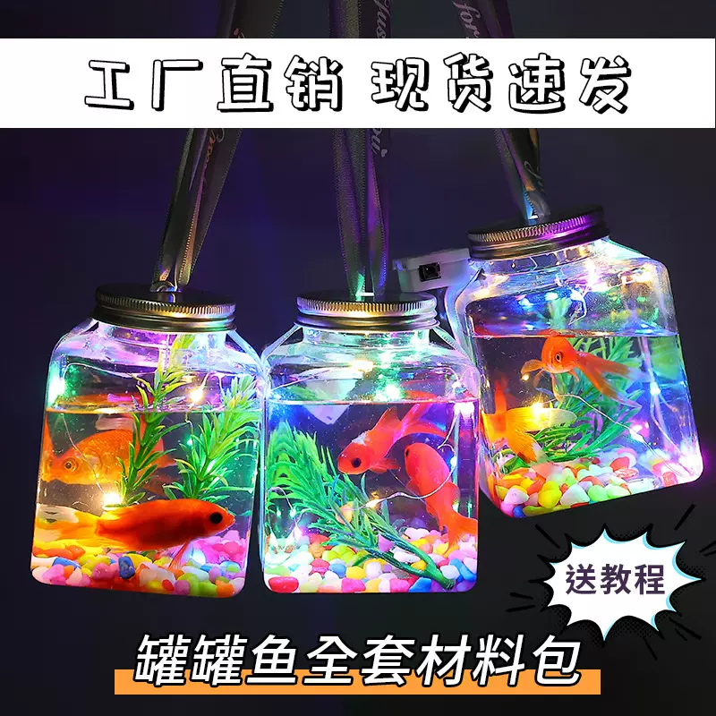 网红泡泡鱼 罐罐鱼发光玩具摆摊夜市 水晶氧气泡泡鱼材料