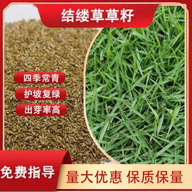 一二年生花卉;林业副产品;其他园林植物