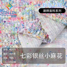 七彩银丝毛线面料 粗针彩纱毛衣面料 针织弹力肌理感保暖秋冬布料